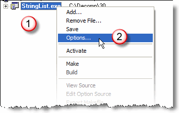 How to open the Project Options panel in Borland C++ Builder.